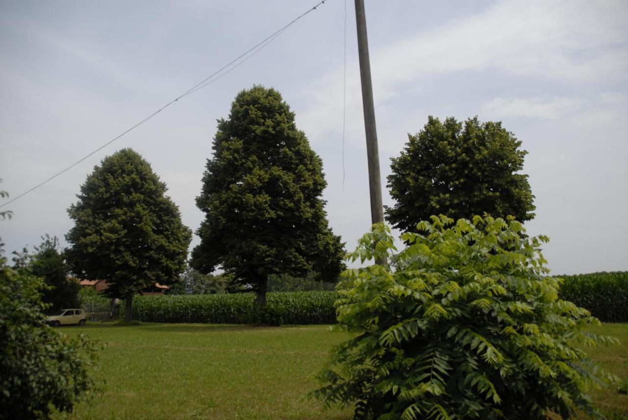 Bed and Breakfast Spighe Paglia E Girasole Candia Canavese Exterior foto