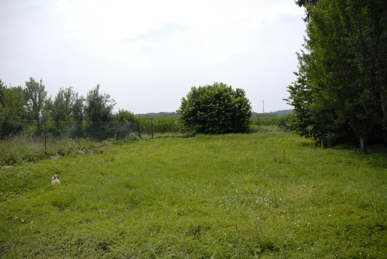 Bed and Breakfast Spighe Paglia E Girasole Candia Canavese Exterior foto